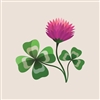 MissClover's avatar