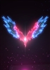 KallanUfanfer's avatar