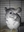 SparkyTDK's avatar