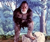 WarEagle420's avatar