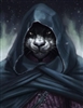 DoogalStark's avatar