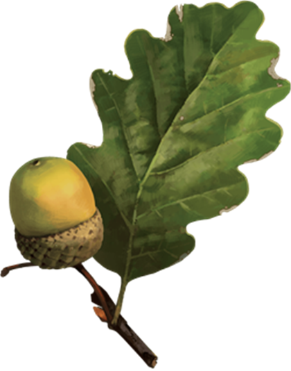 Gaia Guardian Image