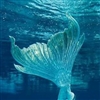 Sapphic_Siren's avatar