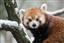 sardonicmonkey's avatar