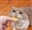 FishSauce's avatar