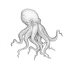 Kassevea's avatar