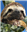 Graadverg's avatar