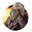 Clausie's avatar