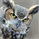 CharlesGraph05's avatar