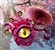 SimonZg's avatar