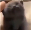 Probro06's avatar