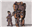 Deadlyapples's avatar