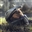 ChunkyMonkey96's avatar