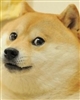 theguythatyoucantrust123's avatar