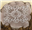 Doug_Booshaka's avatar