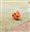 Cocked_Dice's avatar