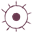 fetchexpert100's avatar