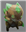 SiriusLeeLost's avatar