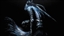 HolywoodFU's avatar