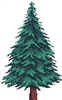 practicallyCanadian's avatar