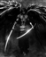 iDarkelf's avatar