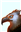 ProtomSpina's avatar