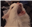 MrMcSchfin's avatar