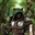 ShadowtipWolf's avatar