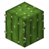 LargeCactus's avatar