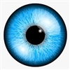Sir_Longshanks's avatar