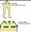 Flowerpowerwizard's avatar
