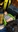 The_Brave_Little_Toaster's avatar