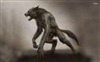 TheAshen1's avatar