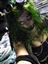 Faolanox's avatar