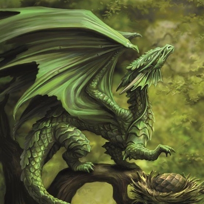 Circle Of The Dragon's Fury Image