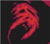xenophisticated's avatar