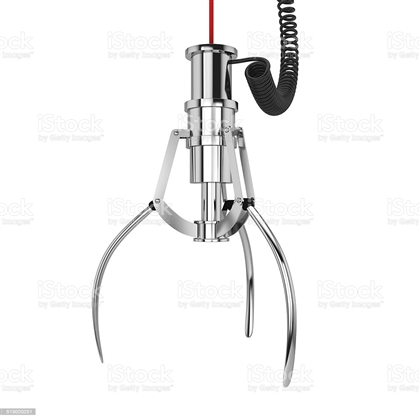 Claw Domain Image