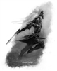 Nianjing's avatar
