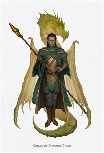 Circle Of Dragons Image