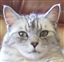 Minajustiza's avatar