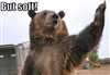 Shakesbear's avatar