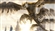 KosefThunderWizard's avatar