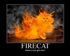 FireCat5's avatar