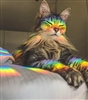 Moonlightish's avatar