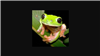 cult_of_Tiamat's avatar