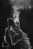 LairdStewart98's avatar