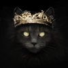 Catandcrown's avatar