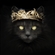 Catandcrown's avatar