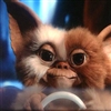 stinkskunkthief's avatar
