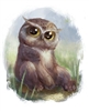 Kemara's avatar